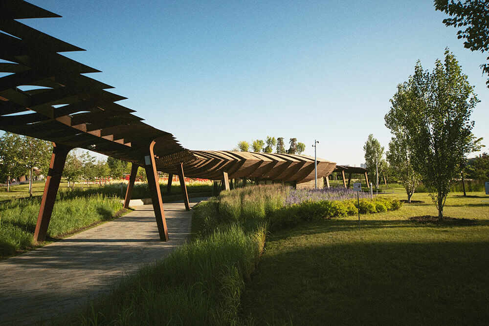 Parque Real - Compensaciones Forestales y Tratamientos Silviculturales