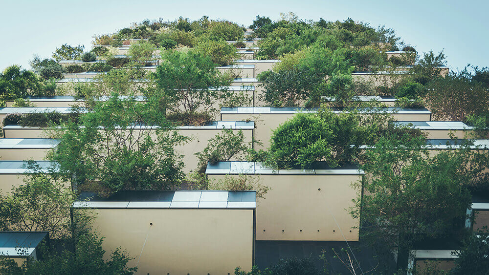 Parque Real - Construcción de Infraestructura Verde Sostenible