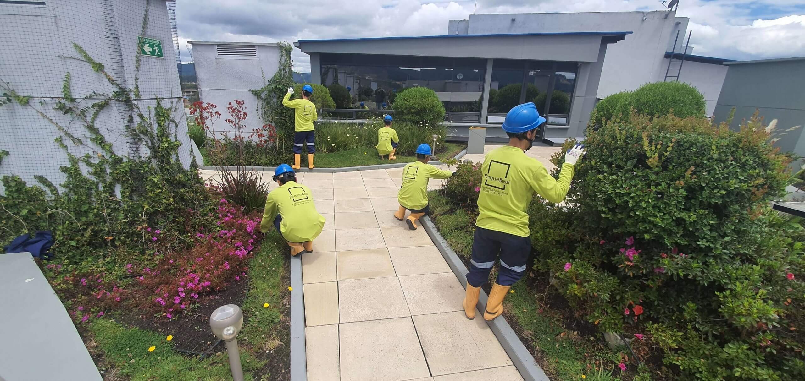 Parque Real - Construcción de Paisajismo