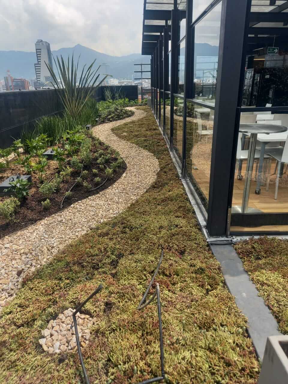 Parque Real - Planificación y Diseño de Paisajes Urbanos Sostenibles