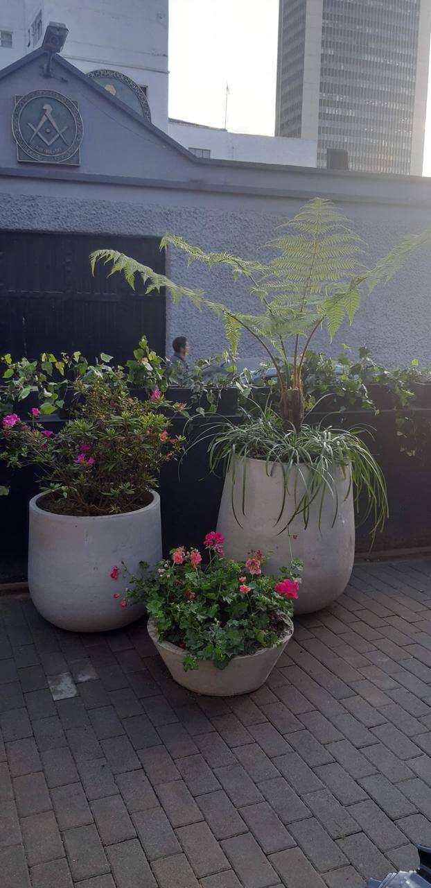 Parque Real - Instalación de materas