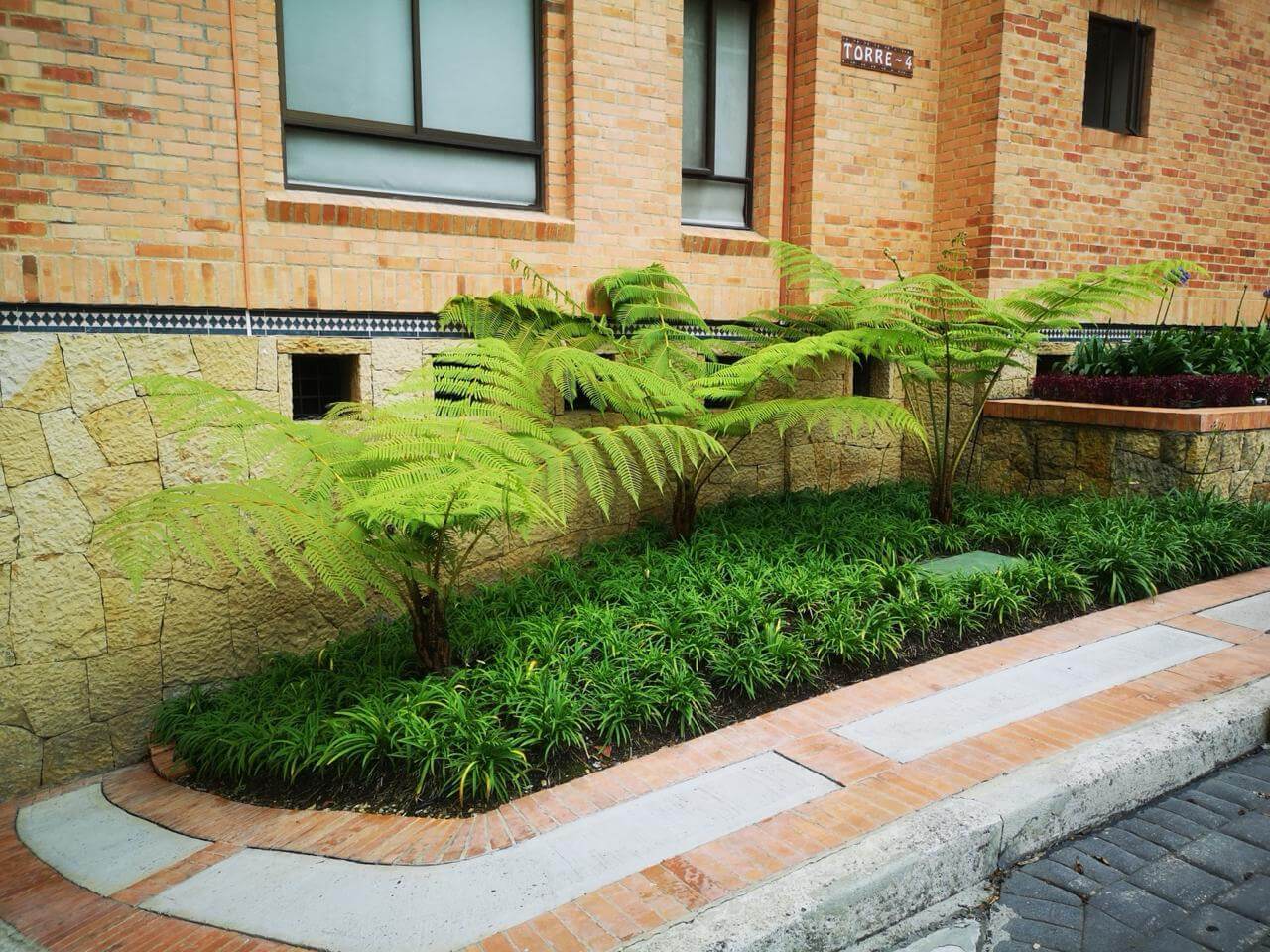 Parque Real - Servicios de Jardinería y Mantenimiento de Áreas Verdes