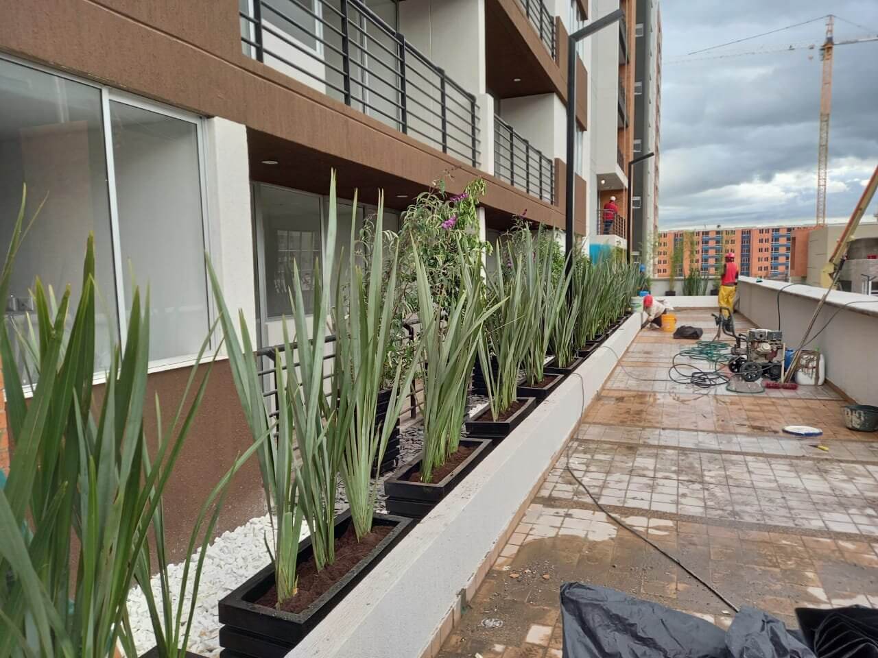 Parque Real - Instalación de Mobiliario Urbano